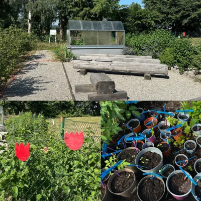 Meldung: Unser Schulgarten