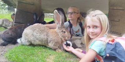 Abenteuer im Tierpark: Ein tierisch guter Ausflug!