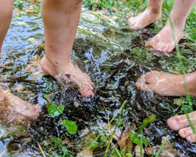 Meldung: Der Sommer ist da!