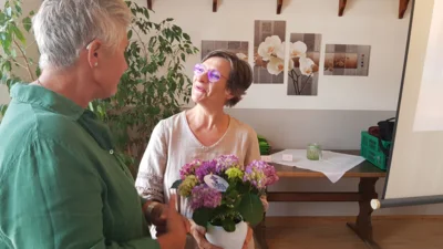 Schüssler-Salze