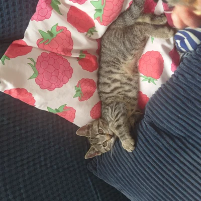 Frieda ist angekommen (Bild vergr&ouml;&szlig;ern)