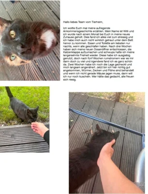 Gruß vom Willi (Bild vergr&ouml;&szlig;ern)