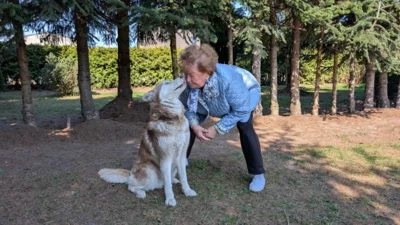 Ausflug zur Huskyfarm (Bild vergr&ouml;&szlig;ern)