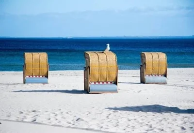 Meldung: Sommerpause Vorstand