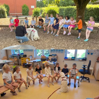 Foto zur Meldung: Schulhund Harper Foto zur Meldung: Schulhund Harper