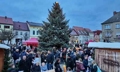 2025 kam der Baum für den Weihnachtsmarkt aus Altnau. Und dieses Jahr? Aktuell sucht das Bauamt wieder einen Baum für die Adventszeit. Foto: Matthias Nerenz (Bild vergr&ouml;&szlig;ern)