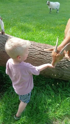 Ein tierisches Erlebnis (Bild vergr&ouml;&szlig;ern)