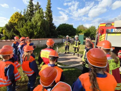 Fotos: Chr. Quandt (Bild vergr&ouml;&szlig;ern)