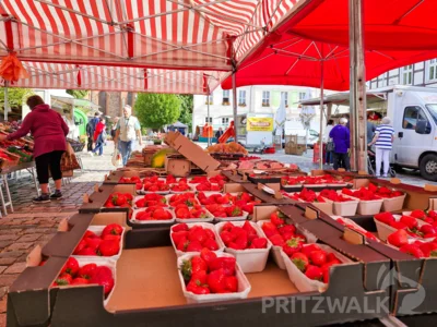 Beeren in allen Variationen standen beim PriMa-Treff Beerenmarkt am Mittwoch auf dem Pritzwalker Wochenmarkt im Mittelpunkt. Foto: Stadt Pritzwalk (Bild vergr&ouml;&szlig;ern)