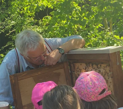 Meldung: Interessante Einblicke in das Leben der Bienen am Lehrbienenstand des Imkervereins Würzburg