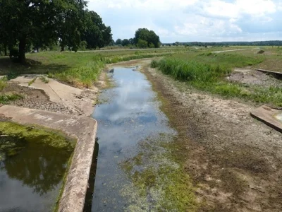 Schwarze-Elster-am-Verteilerwehr-Kleinkoschen-LfU-MMGarnitz (Bild vergr&ouml;&szlig;ern)