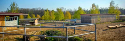 Pferdehaltung Langerwisch 2019_Bildquelle MLEUV; Gutshof Langerwisch (Bild vergr&ouml;&szlig;ern)