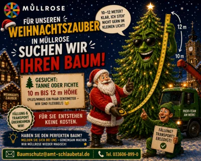 Weihnachtsbaumspender für den Weihnachtszauber 2027 gesucht! (Bild vergr&ouml;&szlig;ern)
