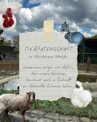 Tierpatenschaft im Kleintierzoo Strehla