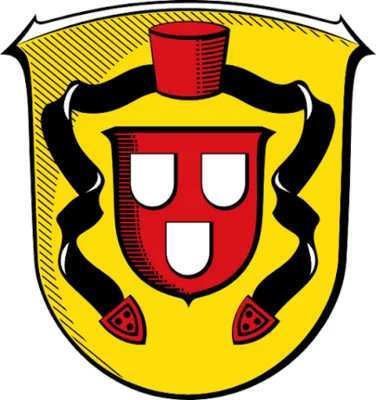 Bürgerbefragung der Gemeinde Willingshausen