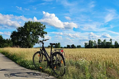 16. August Mit dem Rad zur Kunst - Auf einer geführten Rad-Tour die Ausstellungsorte der openart Lausitz Biennale entdecken (Anmeldung erforderlich) (Bild vergr&ouml;&szlig;ern)
