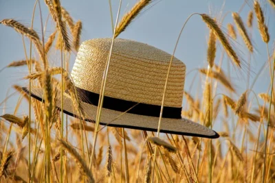 Sommergruß