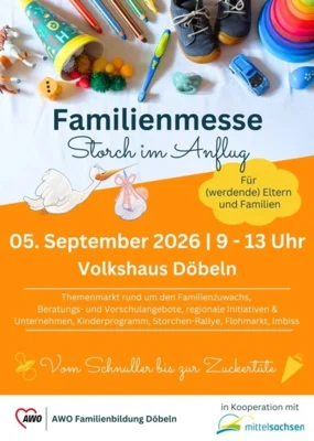 Storch im Anflug Flyer (Bild vergr&ouml;&szlig;ern)