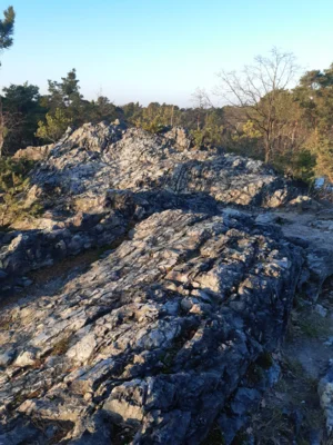 20260120_20260120_RothsteinerFelsen_NPNLH_SusannNitzsche_ (Bild vergr&ouml;&szlig;ern)