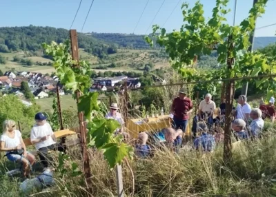 Weinprobe im Weinberg (Bild vergr&ouml;&szlig;ern)
