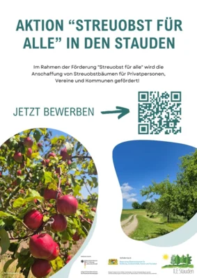 Zweite Runde „Streuobst für alle“ – ILE Stauden setzt erfolgreiche Förderung erneut um