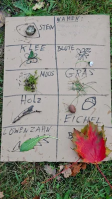 Natur-Rally (Bild vergr&ouml;&szlig;ern)