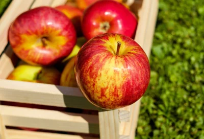 Äpfel sind das Thema beim PriMa-Treff am 12. August in Pritzwalk. Foto: Pixabay (Bild vergr&ouml;&szlig;ern)