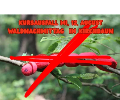 Waldnachmittag entfällt! (Bild vergr&ouml;&szlig;ern)