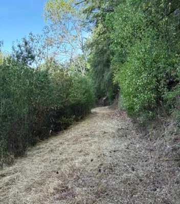 Der Wingertsweg im OT Hochstädten lädt wieder zum Wandern ein. (Bild vergr&ouml;&szlig;ern)