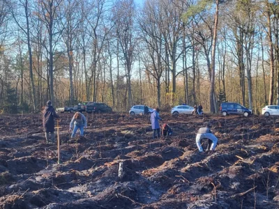 Foto zur Meldung: Lebenshilfe setzt 2025 mit Teamevent ein Zeichen für Umwelt