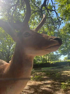 Meldung: Ausflug zum Tierpark Eilenburg