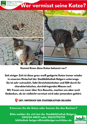 Wer vermisst seine Katze?