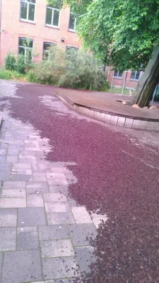 Stürmische Ferien (Bild vergr&ouml;&szlig;ern)