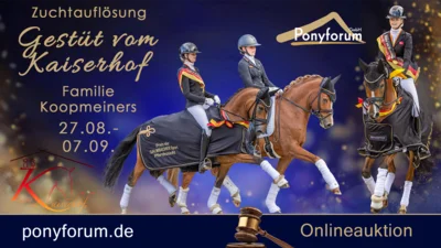 Ponyforum GmbH präsentiert zuchthistorische Online-Auktion: Auflösung der legendären Reitponyzucht der Familie Koopmeiners