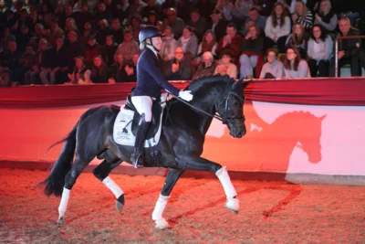 NEU beim Marbacher Wochenende: DSP Ponykörung
