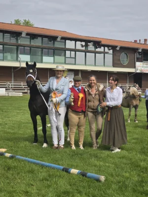 Regionalschau der IG Welsh Regionalgruppe Berlin-Brandenburg