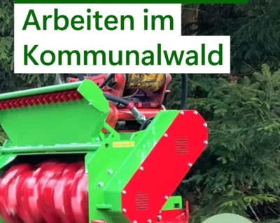Maschineller Holzeinschlag im Kommunalwald der Gemeinde Großpösna