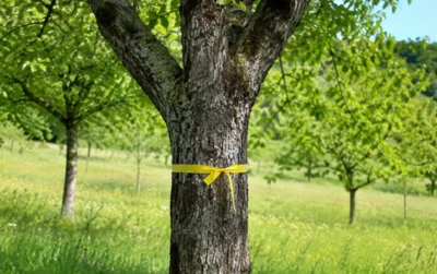 Quelle: Naturpark Nordeifel (Bild vergr&ouml;&szlig;ern)