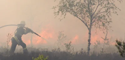 Feuerwehr beim Löschen eines Flächenbrandes