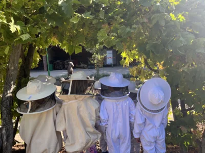 Summ, summ, summ – auf in die Bienenschule! (Bild vergr&ouml;&szlig;ern)