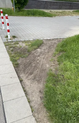 Ein Trampelpfad verbindet zwei Wege, Foto: Daya Södje, Auwaldstation Leipzig