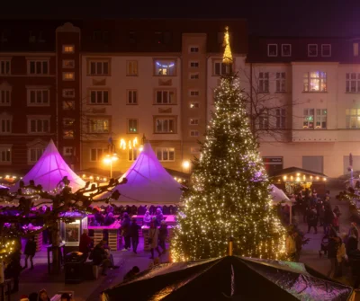 Weihnachtsbaum auf dem Wittenberger Weihnachtsmarkt 2025 I Foto: Jens Wegner (Bild vergr&ouml;&szlig;ern)