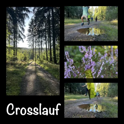 CriCraCrosslauf
