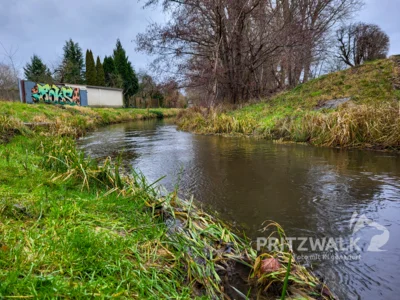 Der Dömnitzlauf in Höhe der Schachthausstraße. Der Fluss spülte hier 1993 die halbe Straße weg. Foto: Stadt Pritzwalk (Bild vergr&ouml;&szlig;ern)