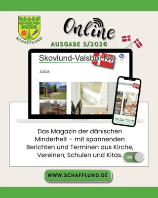 Neue NYT online - Nr.3 2026