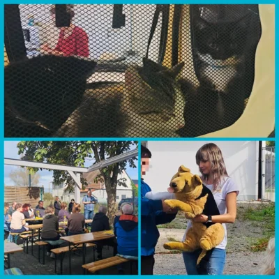 Collage Infoveranstaltung Erste Hilfe bei Vierbeinern (Bild vergr&ouml;&szlig;ern)