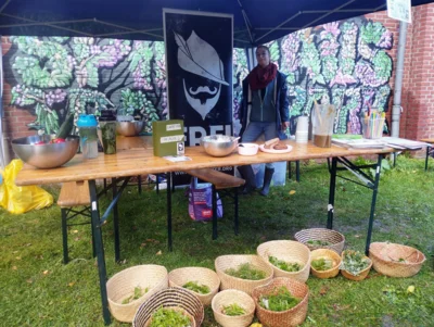 Sommerfest im Traunspark (Bild vergr&ouml;&szlig;ern)