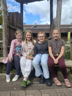Sommerleseclub 2026