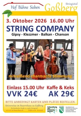 String Company auf der Hof Bühne Sieben (Bild vergr&ouml;&szlig;ern)