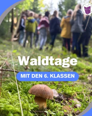🌳 Waldtage der 6. Klassen 🌳